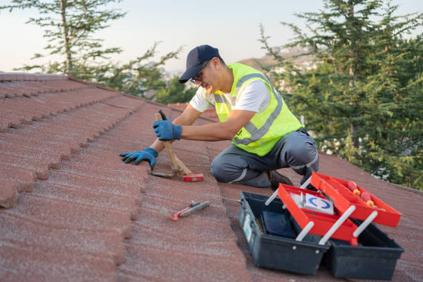 Quick and Trustworthy Emergency Roof Repair Services in Virginia Beach, VA